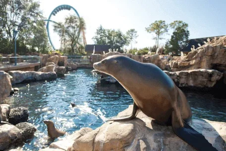 SeaWorld Parks